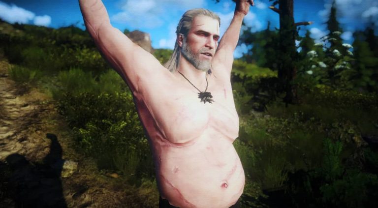 The witcher 3