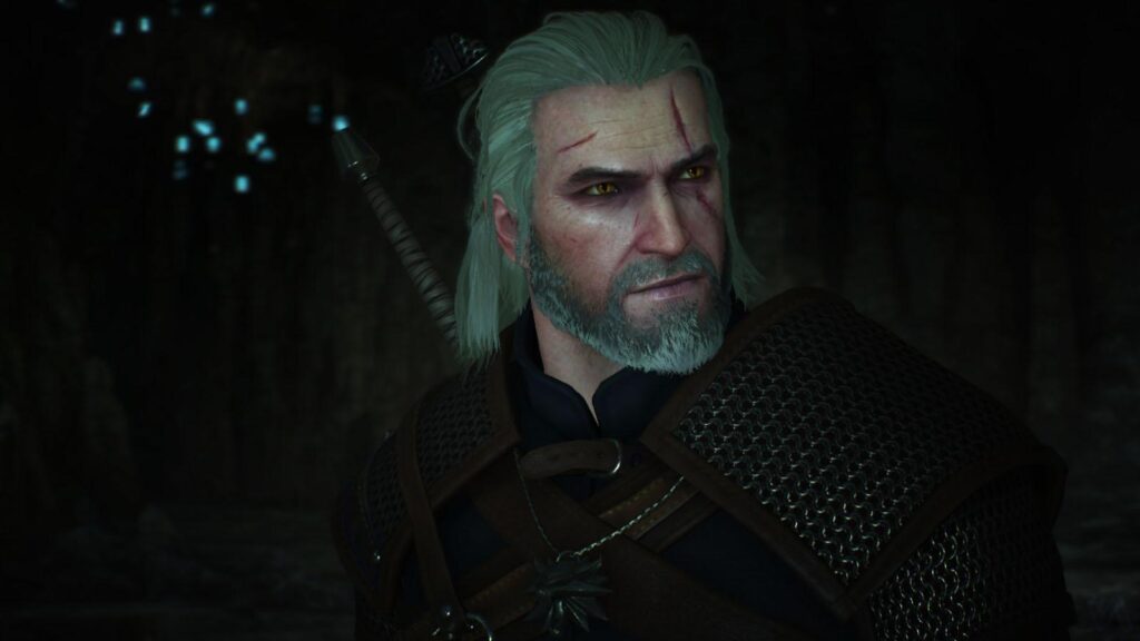 The witcher 3 3