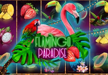 Flamingo Paradise